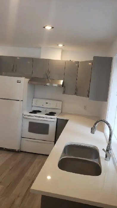 1 Bedroom, brand new, modern, high end, private lower unit apt Image# 9