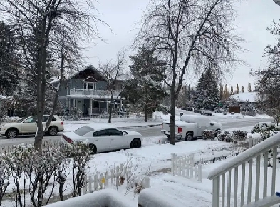 Cozy Room in Lovely Suite available - Inglewood Image# 4