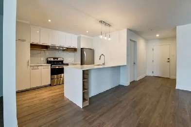 Spacious renovated 2 bedroom unit on Papineau - ID 4310 Image# 15