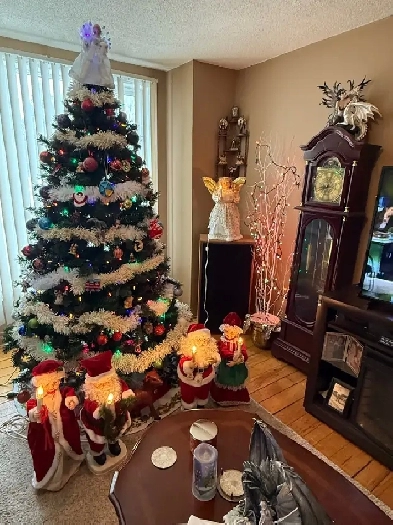 Stunning Unit for Rent: 2 Bed, 1 Bath – Woodstock – Avail Image# 2