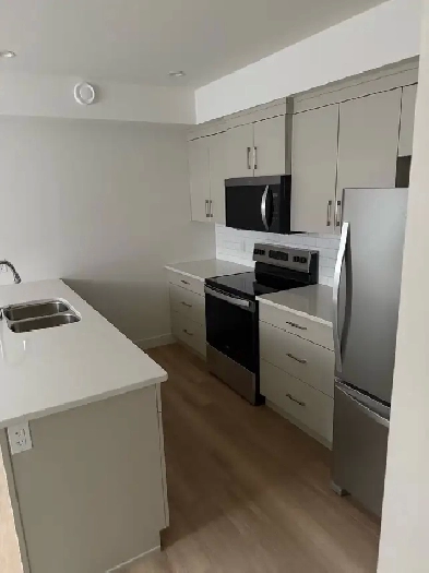 One Bedroom Basement for Rent Image# 6