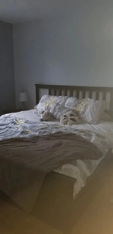 Very Large 4 1/2 QUIET NEIGHBORHOOD Image# 5