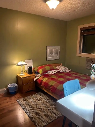 HOUSEMATE WANTED FEBRUARY FIRST Image# 2