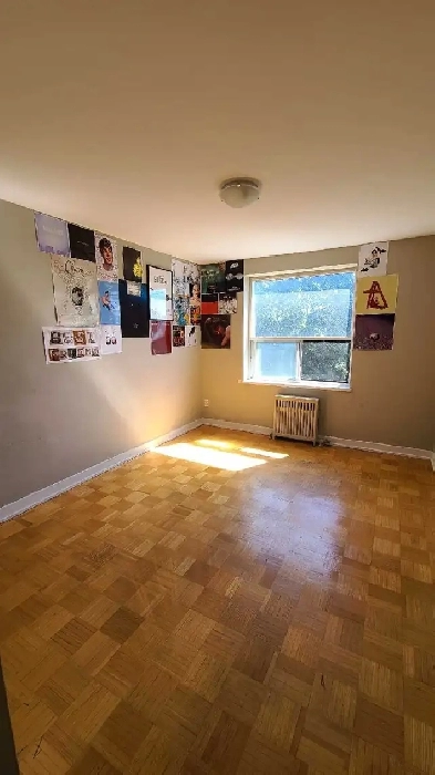 1 1 bedroom apartment Image# 2