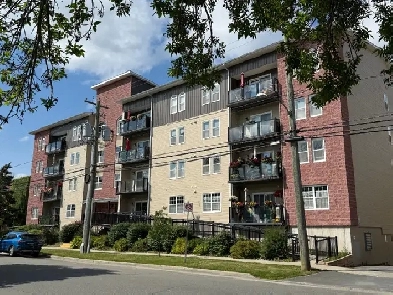 343 Argyle St. Top Floor, 2 bedrooms, den, March 1st/26 Image# 8