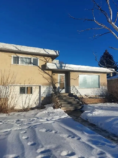 Room for Rent Near Station - Ready to move -SAIT Downtown Image# 1