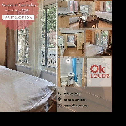 APPARTEMENTS À LOUER - LIMOILOU - TOUT INCLUS Image# 5