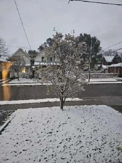 3 BEDROOMS HOUSE IMMEDIATELY OR . SHORT TERM WELCOME Image# 7