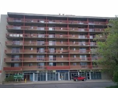 1 bedroom apartment for rent February 1st North East $1300/month Image# 11