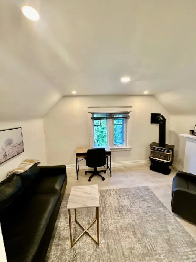NAIT/Kingsway/Furnished 1 BDR Character LOFT/Gas Fireplace Image# 4