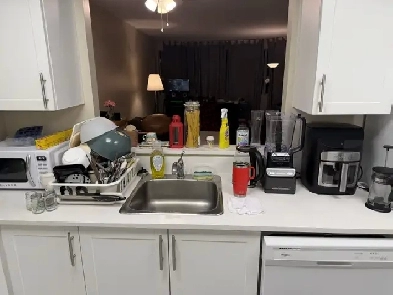 1 Bedroom apartment for rent (lease transfer) Image# 2