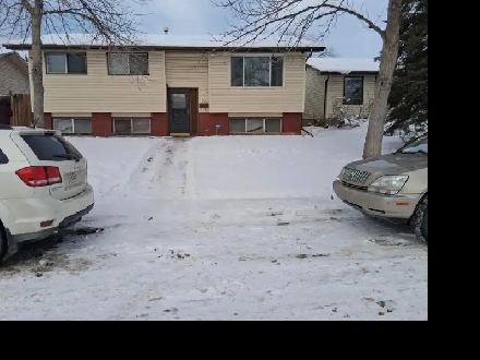 3 Bedroom big Basement for Rent in Rundle NE Calgary Image# 2