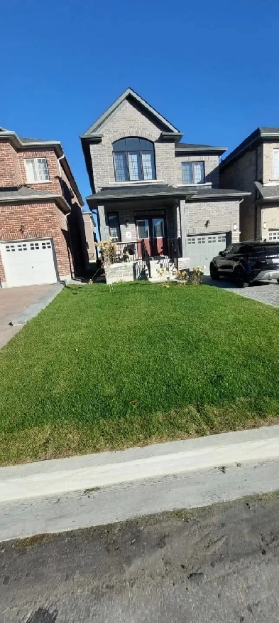 For Rent: Sunny & Brand New 1 Bedroom in 2 BR Basement Apartment Image# 4