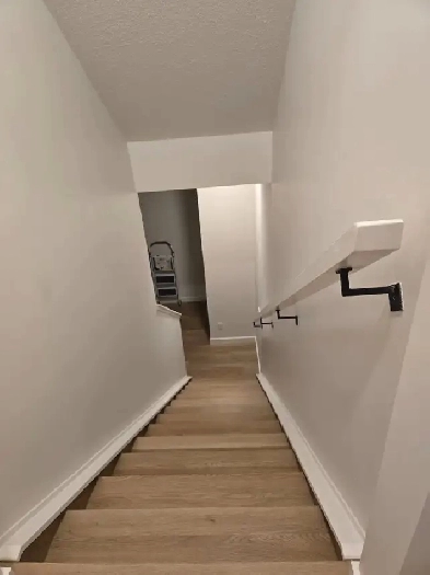 one bedroom Basement Image# 6