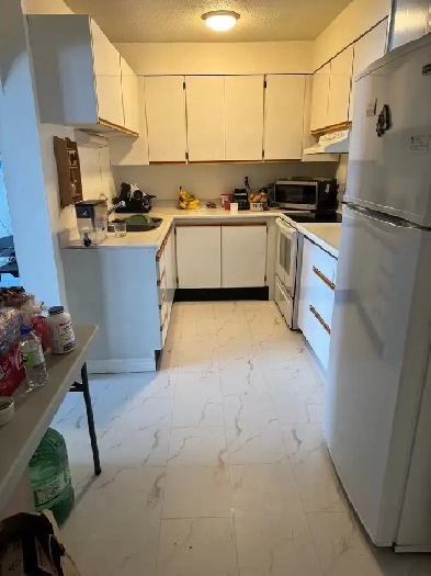 1 large bedroom hall kitchen Image# 1