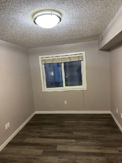 2 BR Condo $1295 Rapid Transit Serv Cl to Schools. Downtown LRT Image# 8