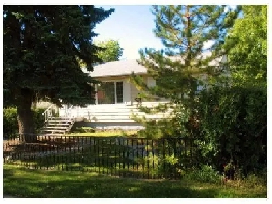 Renovated Full House on Corner Lot for Rent. Pet Friendly. Image# 9