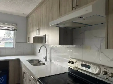 Bright house for rent in Marlborough Image# 3