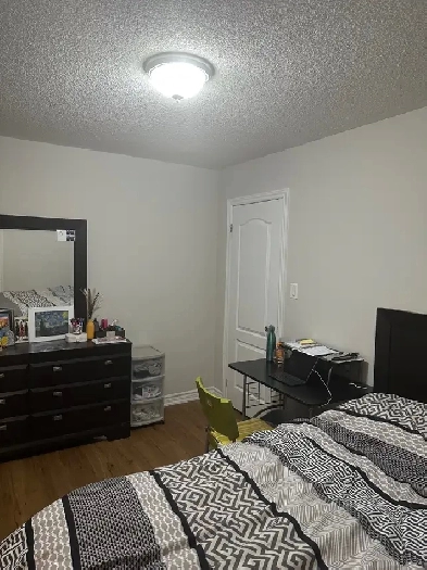 Single Room For Rent in Milton - Female Image# 3