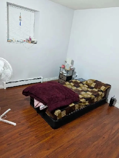 2 Bedroom 1 bath Available for Rent Image# 3