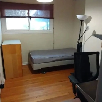 Jan 1-Merivale/Hunt Club-20m/Algonq-Furn, Prkng, See Video's Image# 5