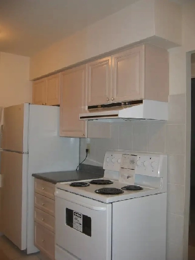 Warden/Finch room with own bathroom Image# 3