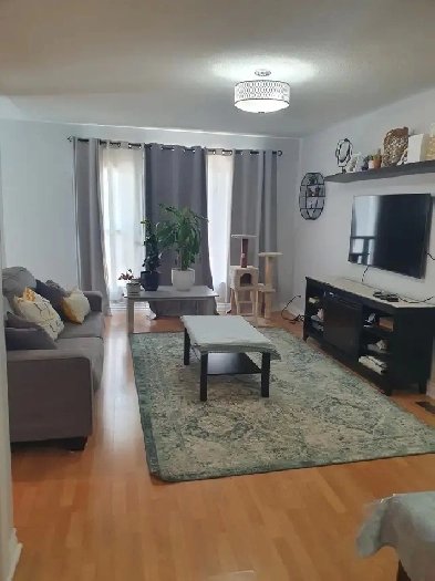 Stunning one Bedroom for rent! Image# 5