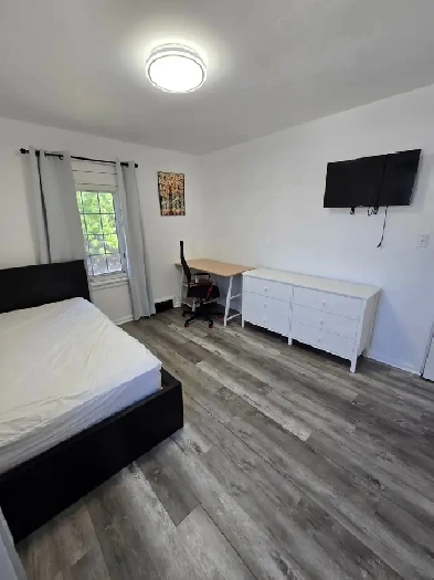 New, private single bedroom, walking distance from University Image# 7