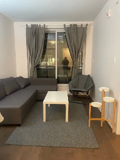 1 bedroom apartment for rent (short- or long-term). Image# 3