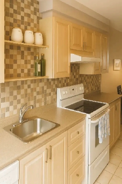 5 ½, LASALLE, 2E ÉTAGE, LIBRE, RÉNOVÉ, REPEINT BLANC, COIN CALME Image# 4