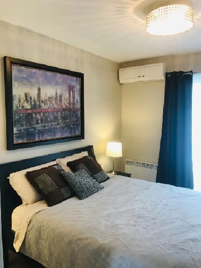 Très beau appart sur Le Plateau ! Image# 10