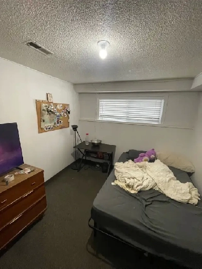 74 Cardill Crescent - Room 8 Image# 6