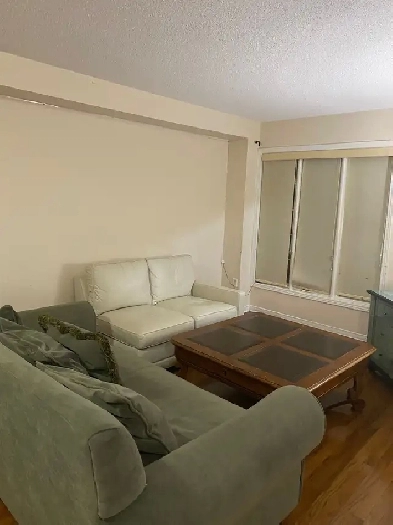 3 bedroom house for rent in Brampton Image# 5