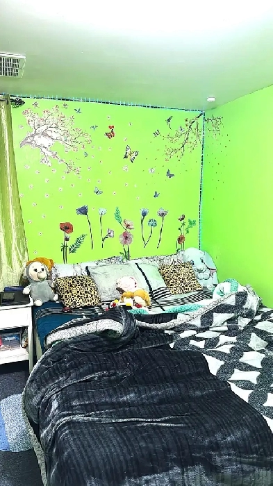 Basement room for rent for a GIRL ONLY in Malton Image# 7