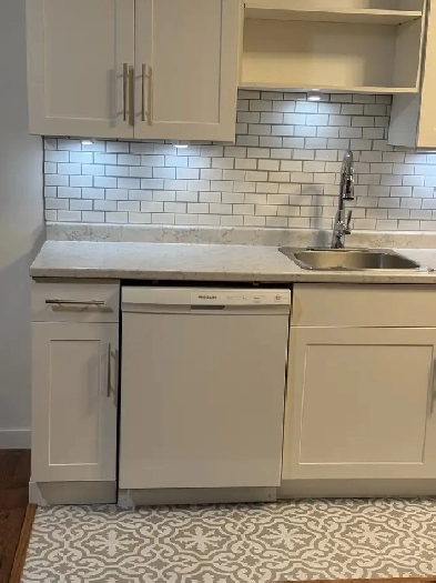 new Reno basement suite Image# 7