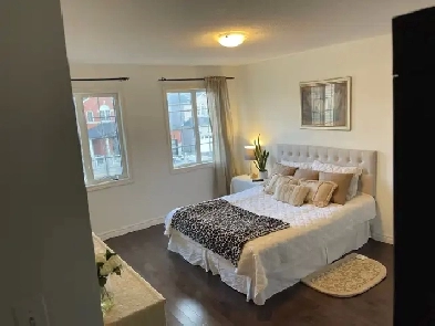 Huge Studio-Sized Room For Rent in Milton - Female Accommodation Image# 3