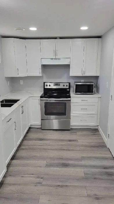 Beautiful, Spacious 2 Bedroom Basement Apartment Image# 7