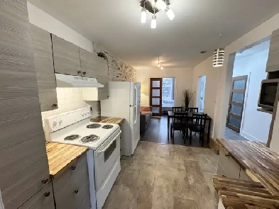 HoMa 10 min du centre-ville! Location de 1 mois à 1 an ! Image# 4