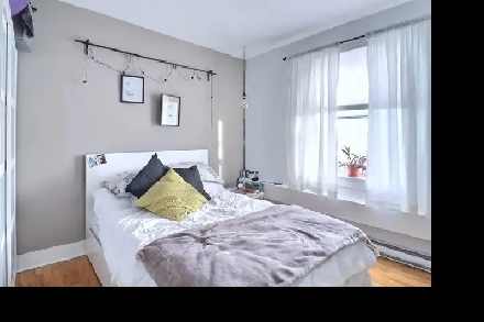 Titre : Appartement 3 2/1 a louer Image# 3