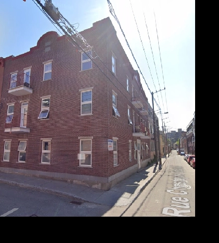 Superbes 3 1/2 entièrement rénové Libre centre-ville Image# 5