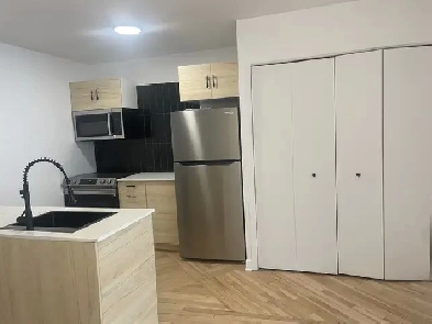 Superbe 4 1/2, 2e étage Rénové à neuf, centre-ville Image# 10