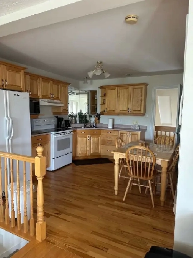 1 bedroom apartment Image# 1