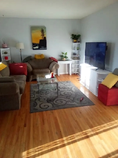 Room for Rent Image# 6