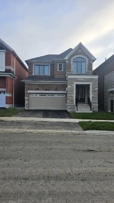 Home for Rent Image# 2