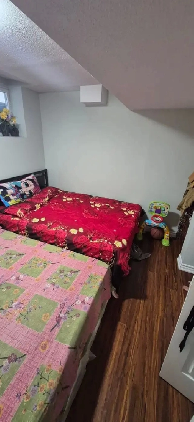 Basment for rent Image# 2