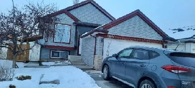 basement for rent Image# 7