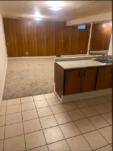 Basement Suit Image# 9