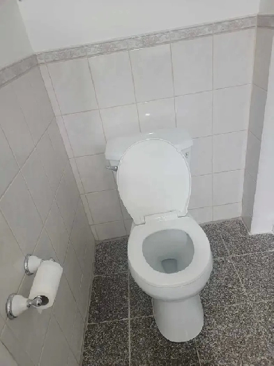 Basement for rent Image# 3