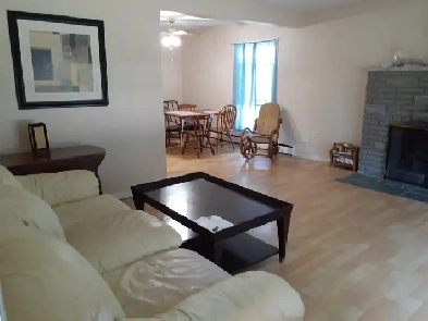 Working professionals or international students / OPG workers Image# 6