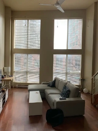 Bright Open LOFT in Heart of Downtown (Downtown Seymour & Smithe Image# 10